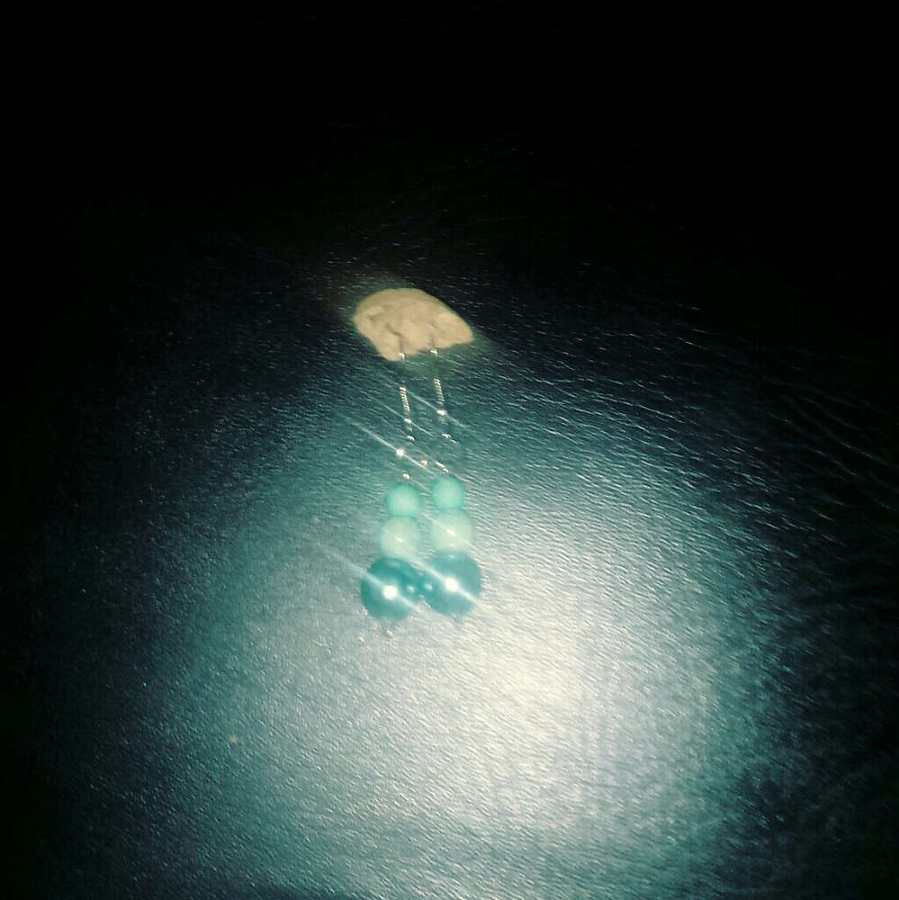 Cute blue earrings